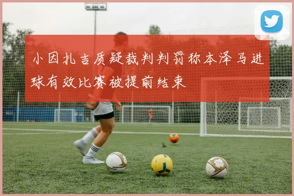 小因扎吉质疑裁判判罚称本泽马进球有效比赛被提前结束