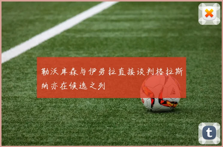 勒沃库森与伊劳拉直接谈判格拉斯纳亦在候选之列